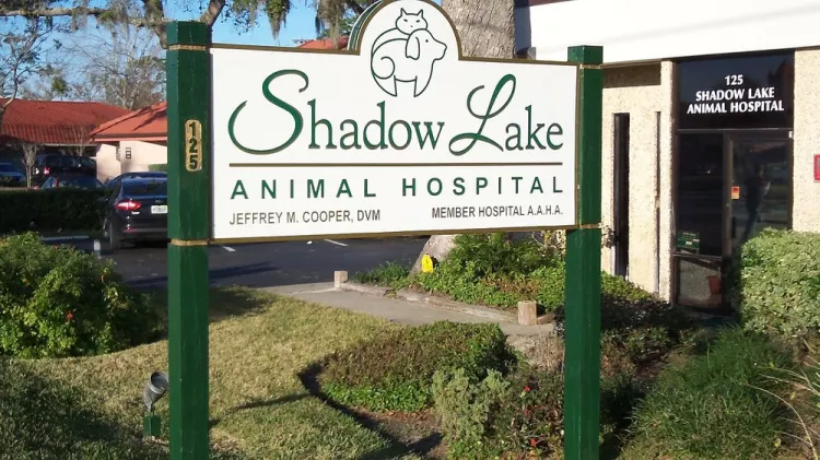 Shadow Lake Animal Hospital, Florida, Ormond Beach